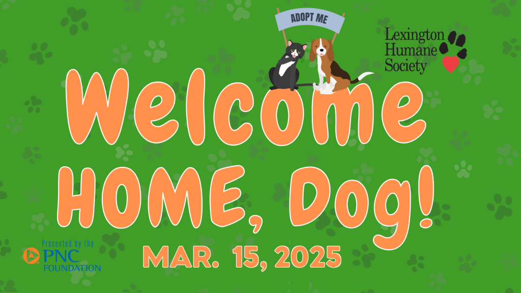 Welcome Home, Dog! @ Lexington Children's Theatre